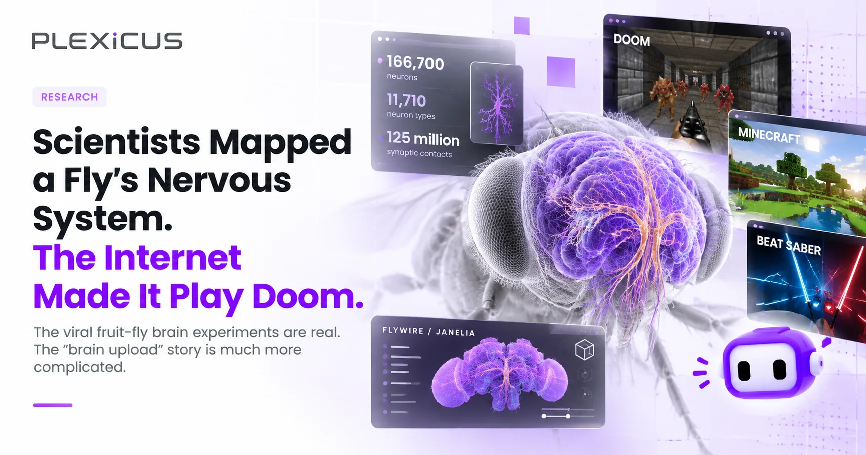 Scientists Mapped a Fly’s Nervous System. The Internet Made It Play Doom