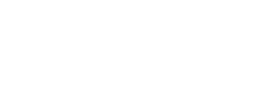 Plexicus Logo